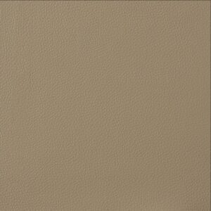 Pars Value Longitude Cashmere