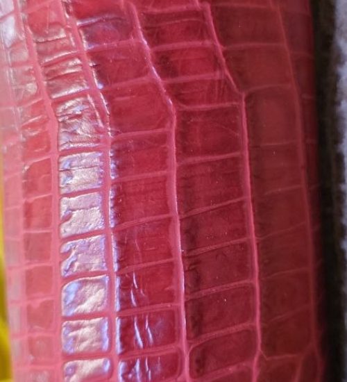 photo_2026-02-24_17-54-25