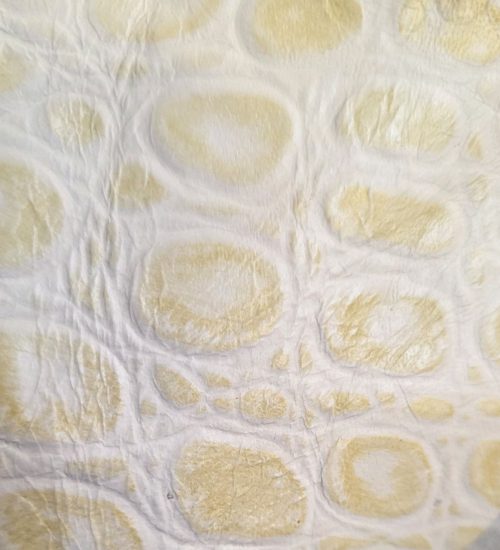 photo_2026-02-24_17-54-26