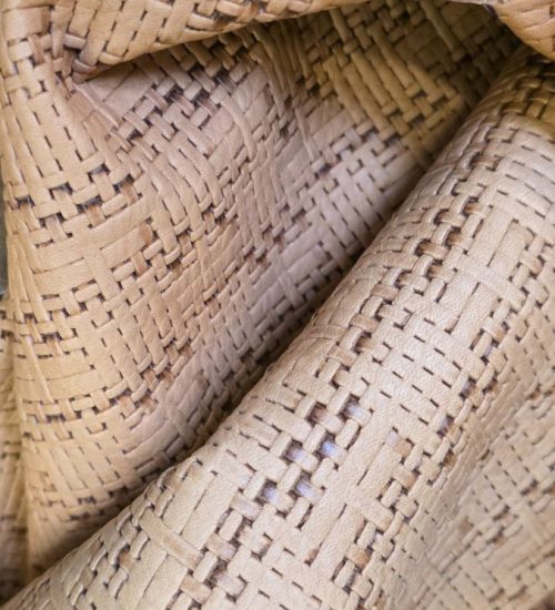 photo_2026-02-24_17-54-27