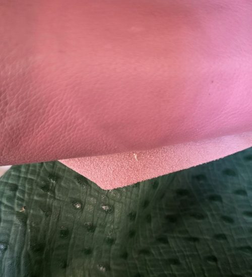 photo_2026-02-24_17-54-28