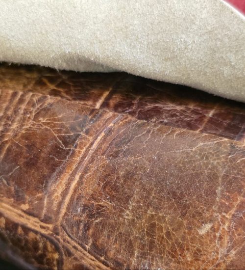 photo_2026-02-24_17-54-29