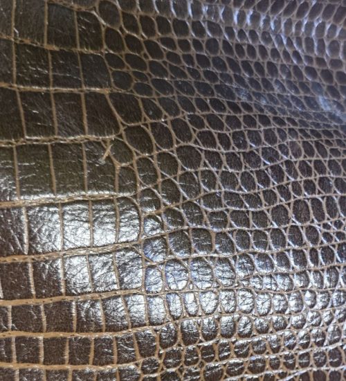 photo_2026-02-24_17-54-30