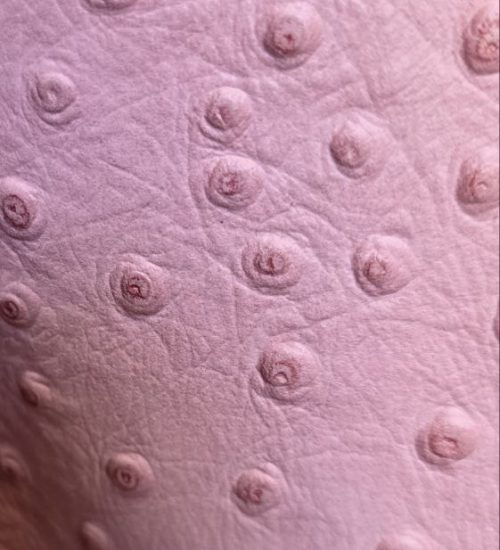 photo_2026-02-24_17-54-31