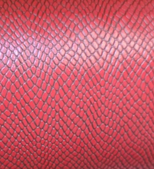 photo_2026-02-24_17-54-34