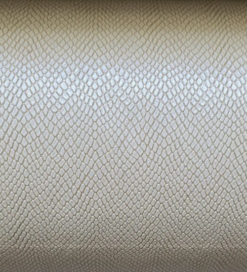 photo_2026-02-24_17-54-35