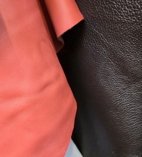 photo_2026-02-24_17-54-41