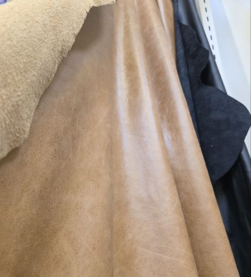 photo_2026-02-24_17-54-42