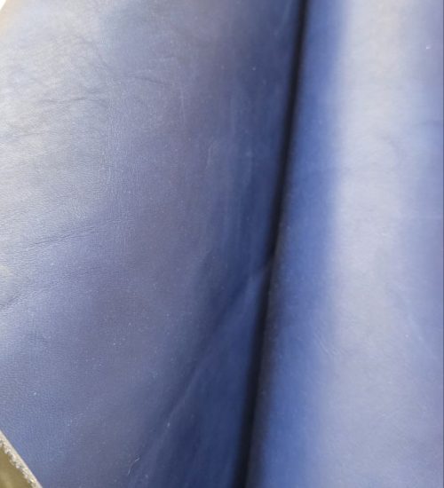 photo_2026-02-24_17-54-43