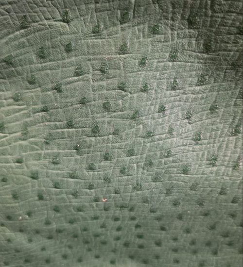 photo_2026-02-24_17-57-00