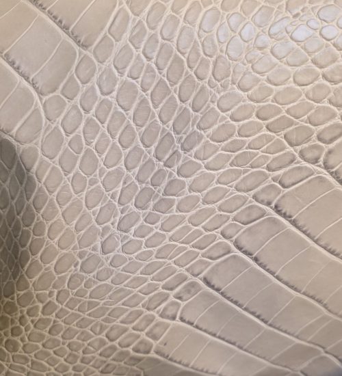 photo_2026-02-24_17-57-02